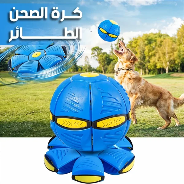 كرة الصحن الطائر